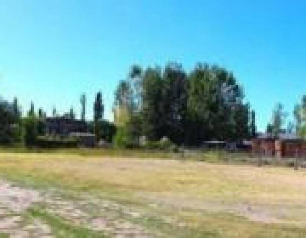  Land in Neuquen, Argentina No. 33555