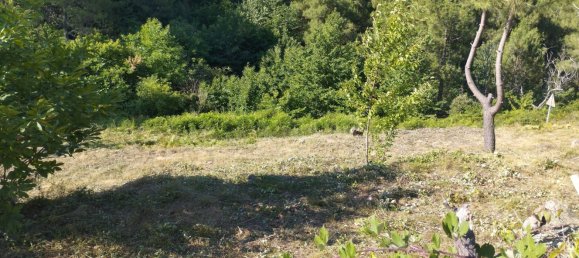  Land in Peyremale, France No. 292418 5