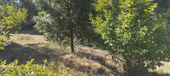  Land in Peyremale, France No. 292418 2