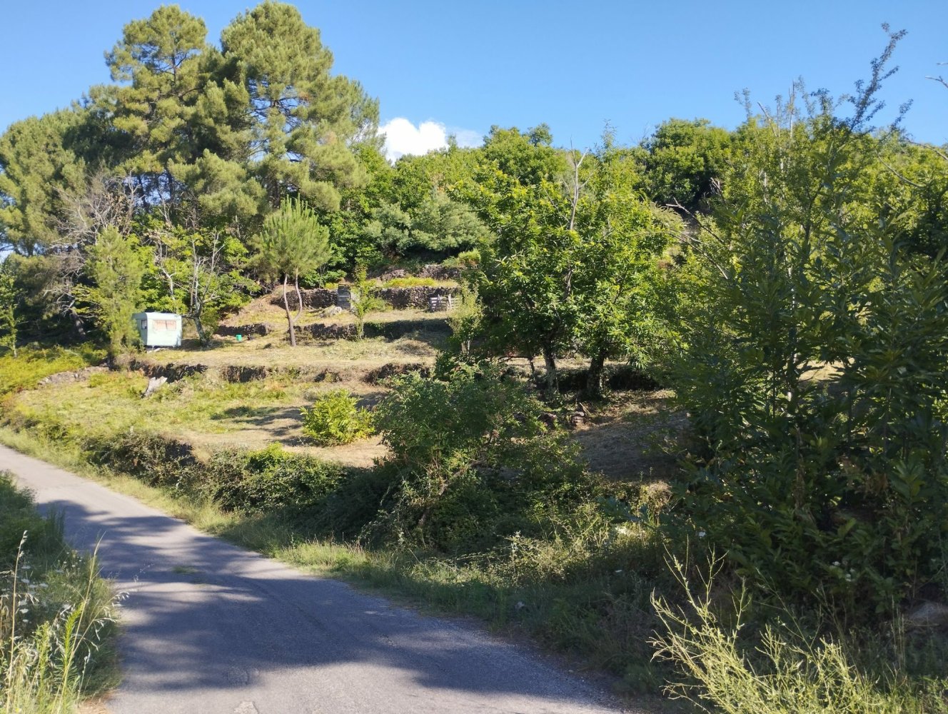  Land in Peyremale, France No. 292418