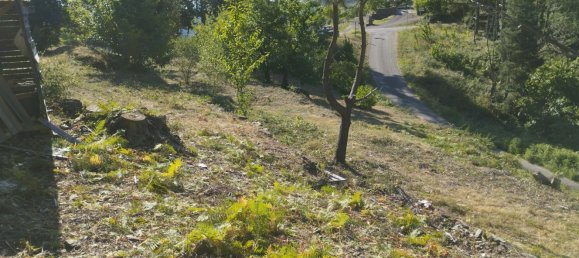  Land in Peyremale, France No. 292418 4