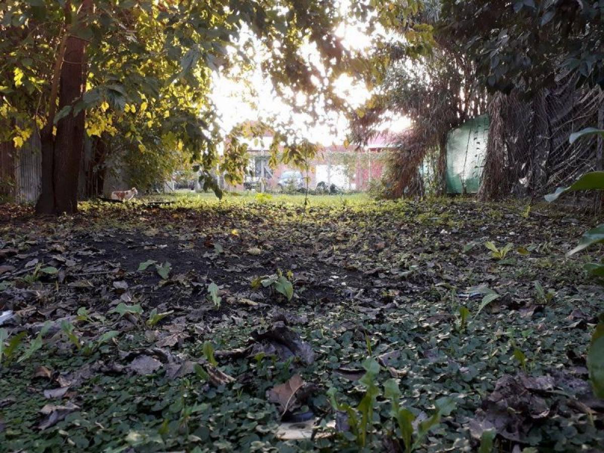  Land in Campo Creado, Argentina No. 35276