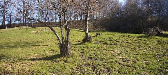 Grundstück in Unterallgäu, Germany, Nr. 144966 4