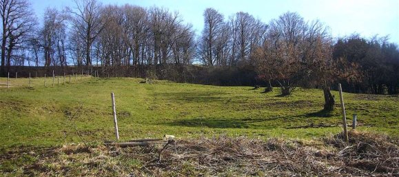 Grundstück in Unterallgäu, Germany, Nr. 144966 2