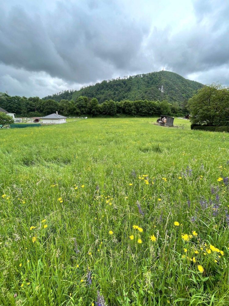  Land in Gratkorn, Austria No. 214410