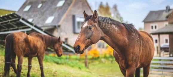 17 rooms Castles in Aachen, Germany No. 47476 6