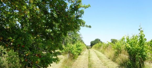 Studio in Charente, France, Nr. 309542 2