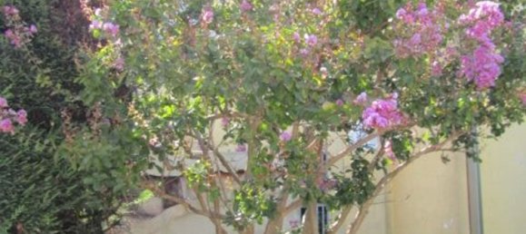 8غرفة منزل في Concordia sulla Secchia, Italy رقم 269342 8