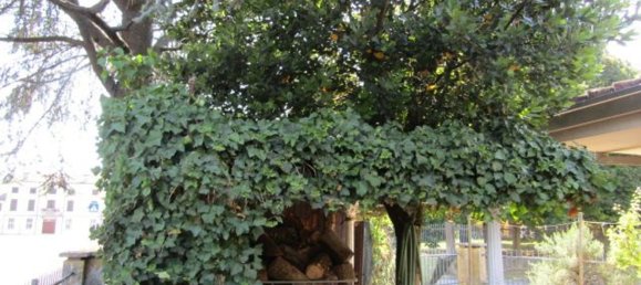 8غرفة منزل في Concordia sulla Secchia, Italy رقم 269342 44