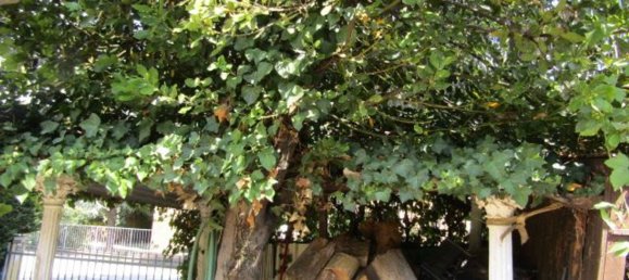 8غرفة منزل في Concordia sulla Secchia, Italy رقم 269342 43