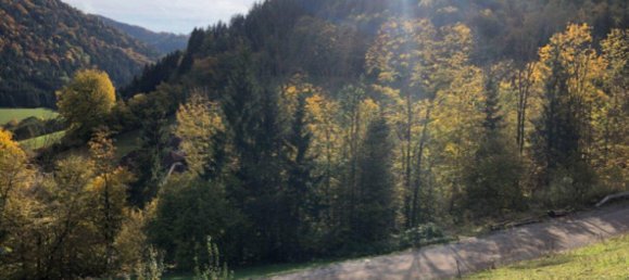 Terreno en Loich, Austria No. 191414 5