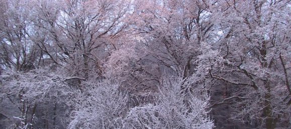 5 chambres Maison à Borde, Germany No. 287753 4