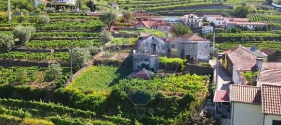 3 bedrooms House in Peso da Regua, Portugal No. 188189 6