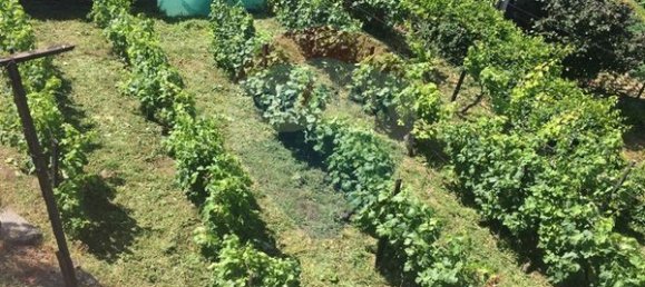 3 bedrooms House in Peso da Regua, Portugal No. 188189 2