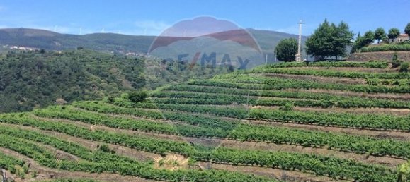 3 bedrooms House in Peso da Regua, Portugal No. 188189 16