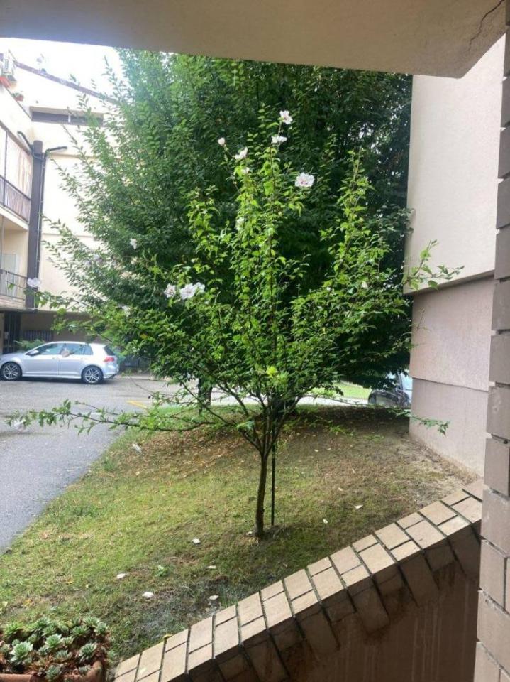 Apartamento de 3 divisões em Piobesi d'Alba, Italy N.º 25039