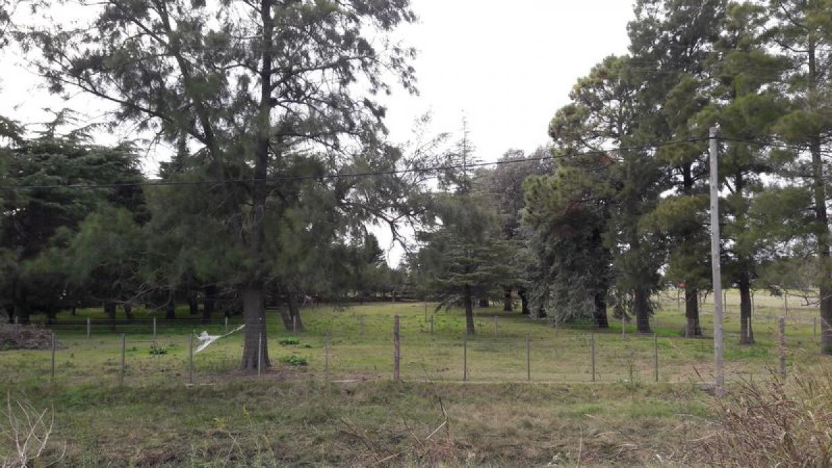  Land in Buenos Aires, Argentina No. 121996