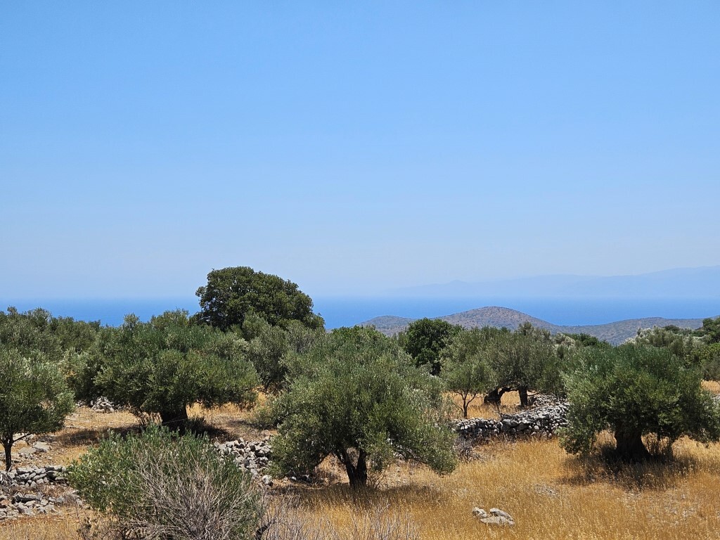 2610 m² terreno en venta en Agios Nikolaos, Lasithi, Crete, Greece № 92724