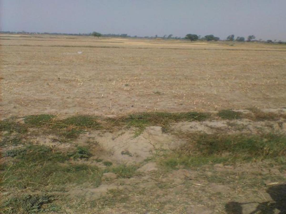 Terrain à Ghaziabad, India No. 35092