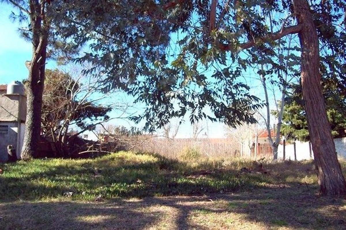 Земельный участок в Мар-дель-Плата, Аргентина № 113620