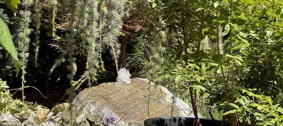 Casa de 3 dormitorios en Liesing, Austria No. 149551 3