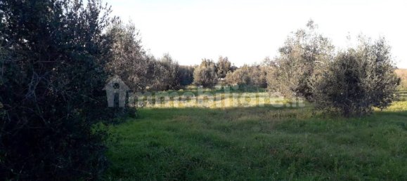  قطعة أرض في Andrano, Italy 3790متر مربع رقم 153316 7