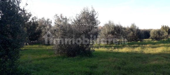  قطعة أرض في Andrano, Italy 3790متر مربع رقم 153316 6