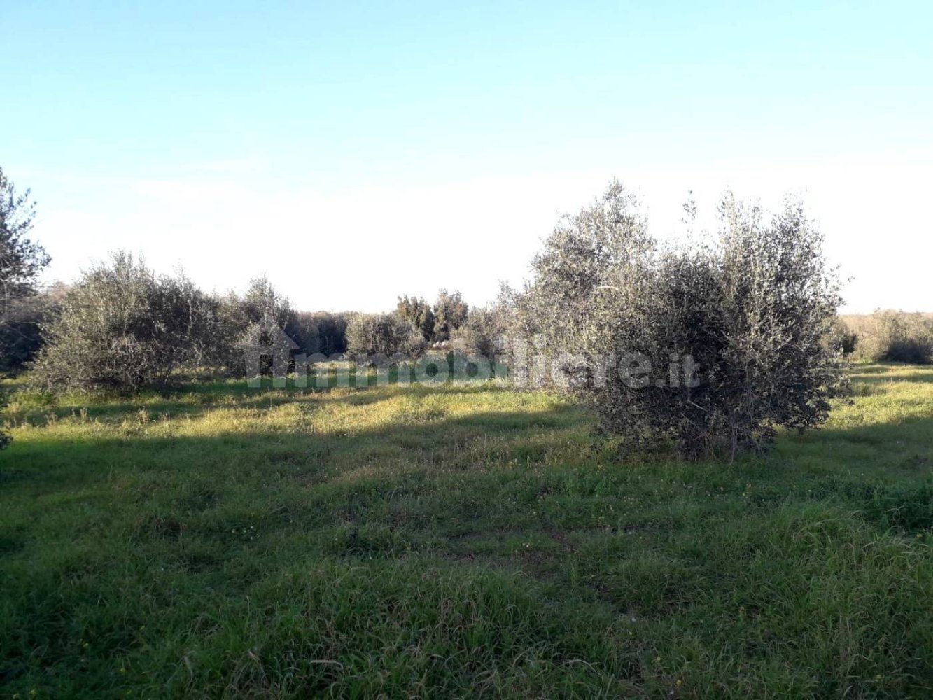  قطعة أرض في Andrano, Italy 3790متر مربع رقم 153316