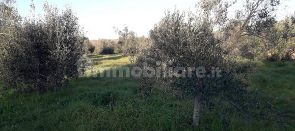  قطعة أرض في Andrano, Italy 3790متر مربع رقم 153316 8