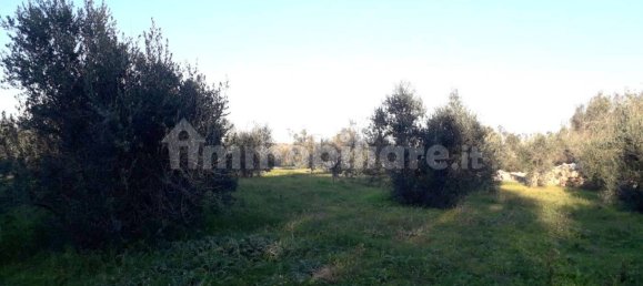  قطعة أرض في Andrano, Italy 3790متر مربع رقم 153316 3