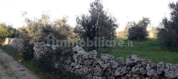  قطعة أرض في Andrano, Italy 3790متر مربع رقم 153316 2