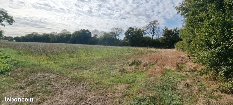 282m² Land in Surgeres, France No. 104071