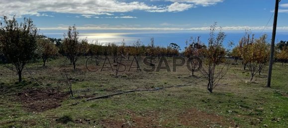  Land in Calheta, Portugal No. 109563 5