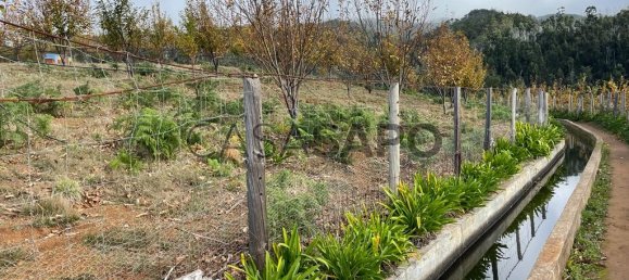  Land in Calheta, Portugal No. 109563 6