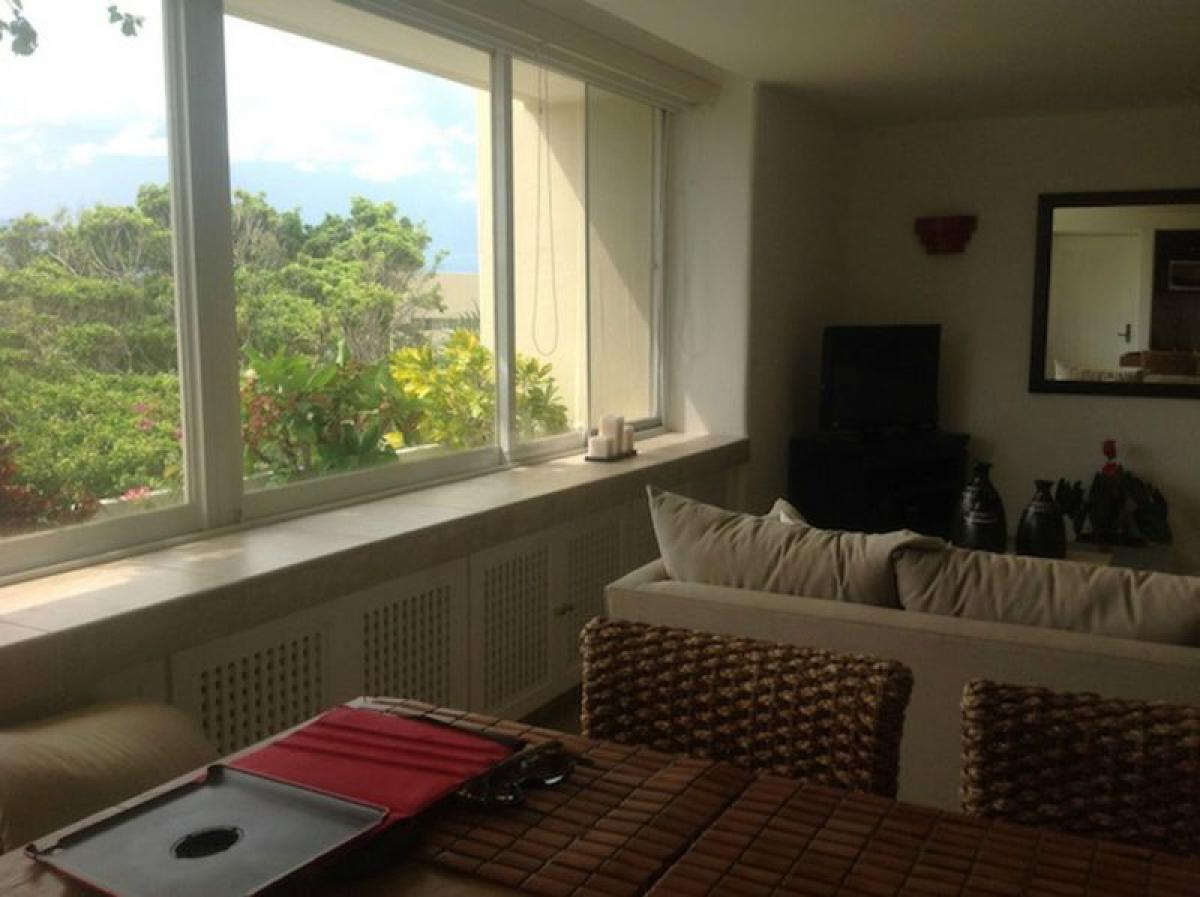 Studio à Guerrero, Mexico No. 171164