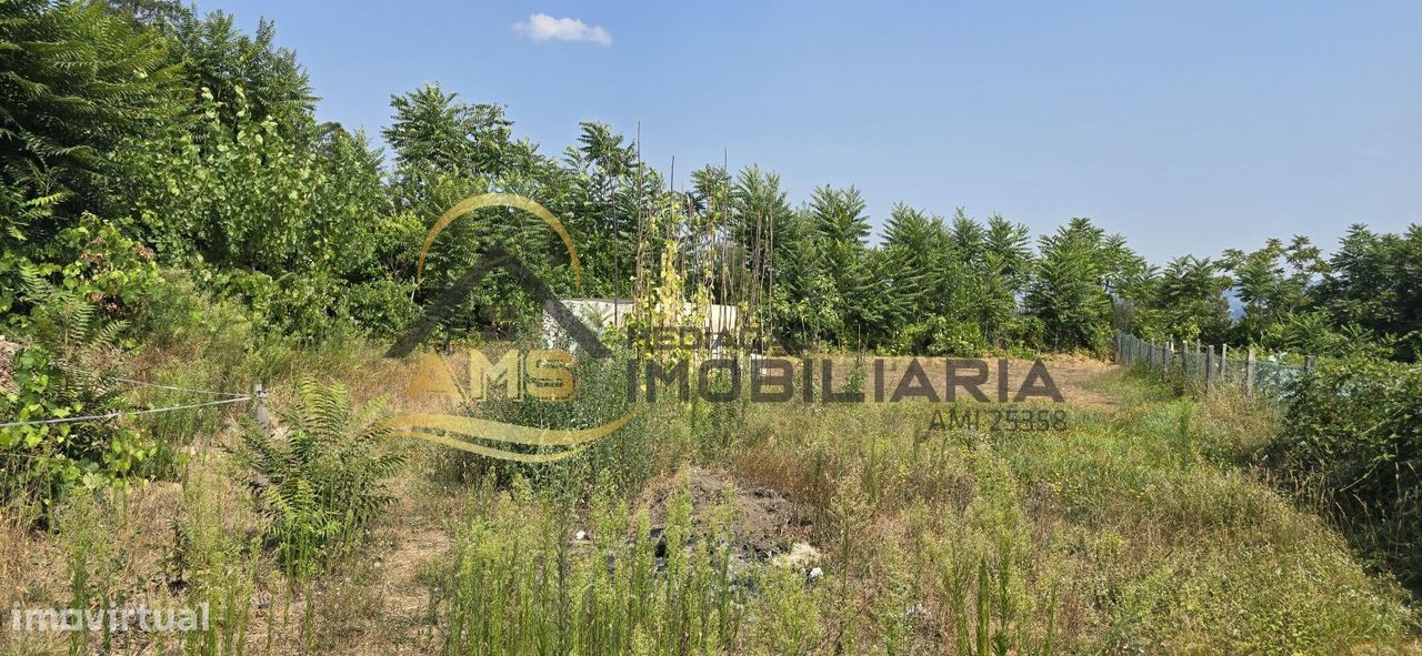 1000m² Land in Golaes, Portugal No. 278315