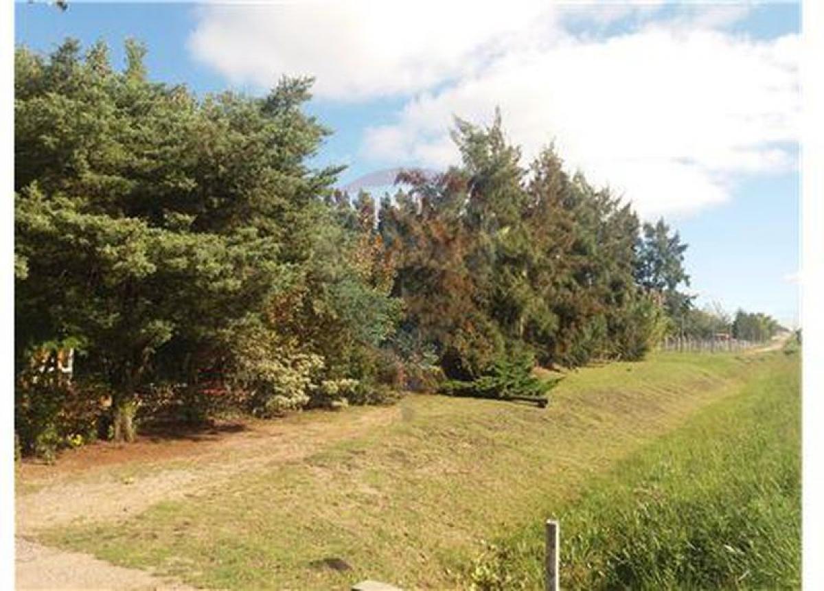  قطعة أرض في Montevideo, Uruguay رقم 15110