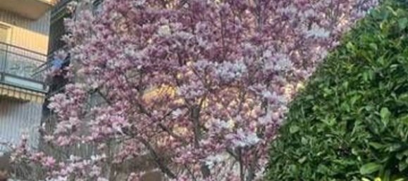 6 rooms Duplex in Turin, Italy No. 49756 25