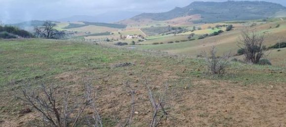 6000m² Land in Coin, Spain No. 134796 9