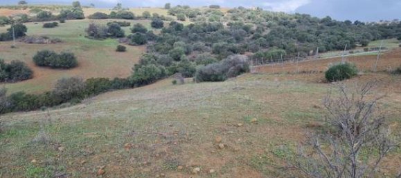 6000m² Land in Coin, Spain No. 134796 7