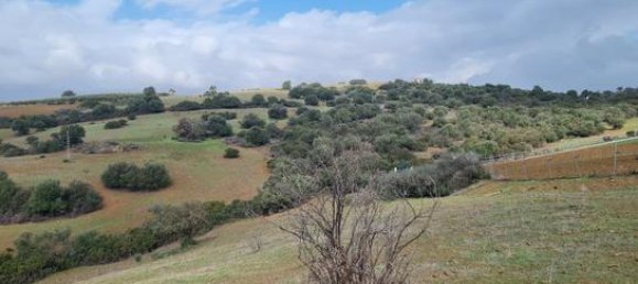 6000m² Land in Coin, Spain No. 134796 4