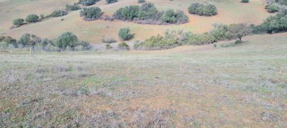 6000m² Land in Coin, Spain No. 134796 3
