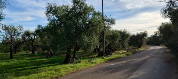 Terreno en Giovinazzo, Italy 5000 m² No. 252736 4