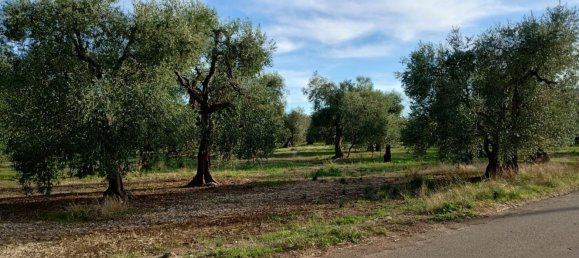 Terreno en Giovinazzo, Italy 5000 m² No. 252736 2