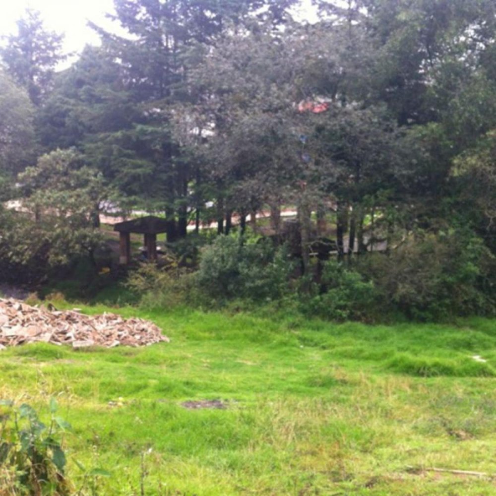 Grundstück in Mexico, Nr. 204213