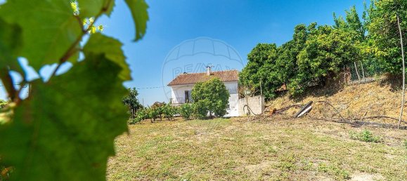 4 Schlafzimmer Haus in Tomar, Portugal, Nr. 21867 21