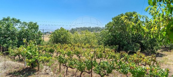 4 Schlafzimmer Haus in Tomar, Portugal, Nr. 21867 22