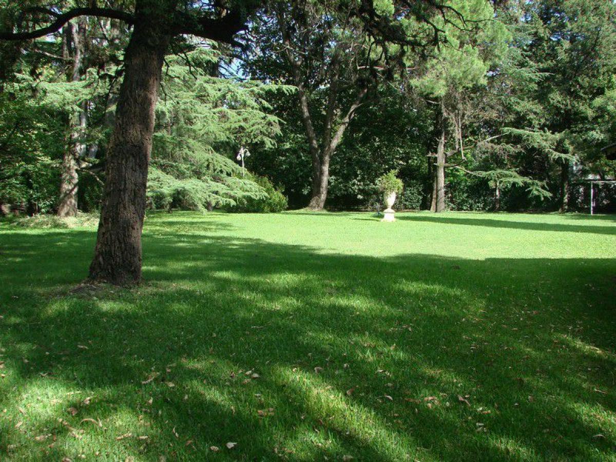  Land in Ituzaingo, Argentina No. 50870