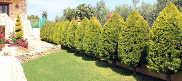 6 bedrooms Commercial property in Polygyros, Greece No. 8129 2