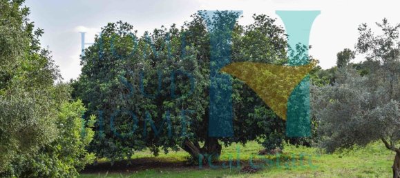  قطعة أرض في Noto, Italy 130متر مربع رقم 87639 7